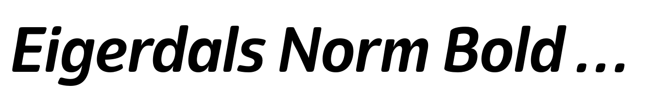 Eigerdals Norm Bold Italic